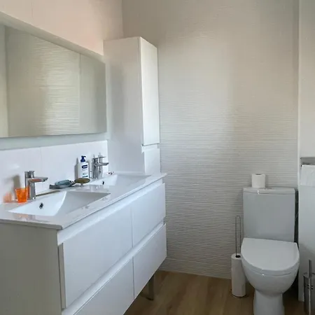 Pavillon Avec Jardin Hyper Calme En Centre Villa